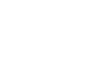 carlsberg-light
