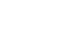civil-right-defenders-light