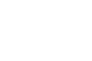 leitner-light